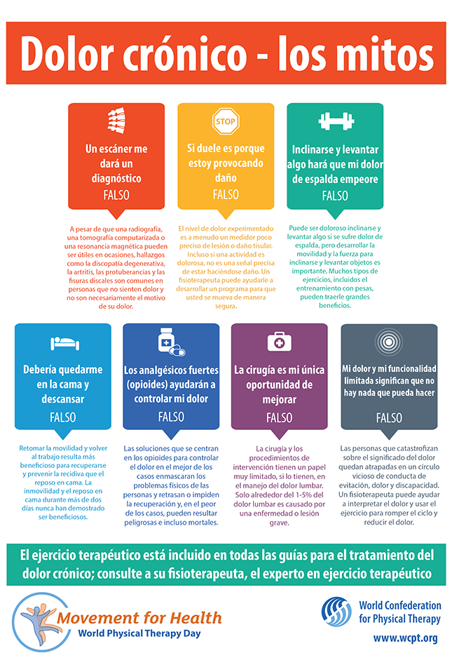 Thumbnail graphic of Infographic 2: Chronic pain - the myths in Spanish