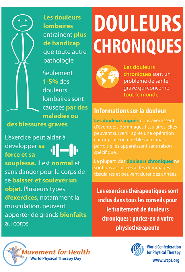 Vorschaubild von Poster 1: Chronische Schmerzen in Französisch