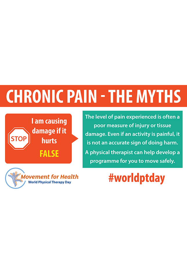 Thumbnail graphic for World PT Day 2019 social media image