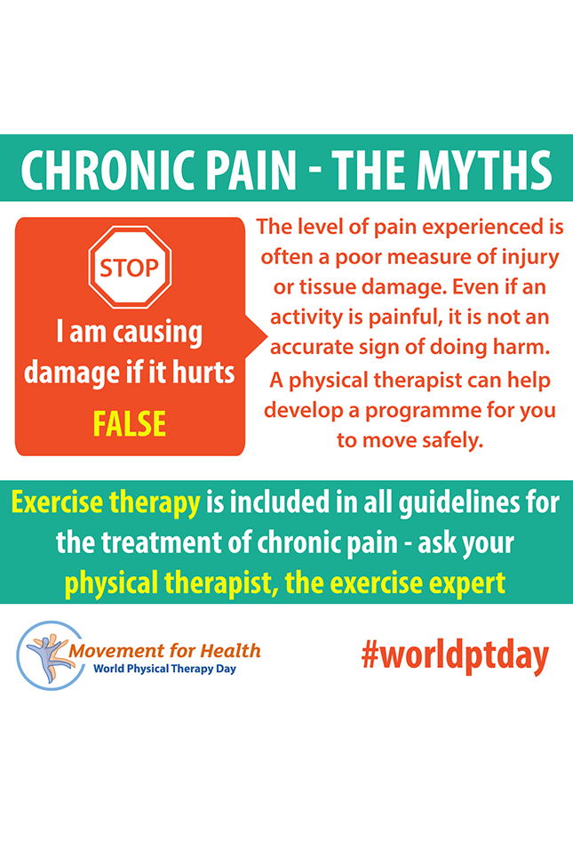 Thumbnail graphic for World PT Day 2019 social media image