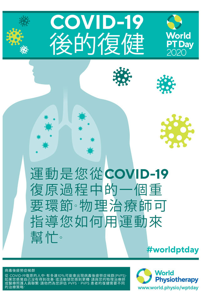 اليوم العالمي لبرنامج Pt 2020 ملصقات صينية تقليدية العلاج الطبيعي في العالم