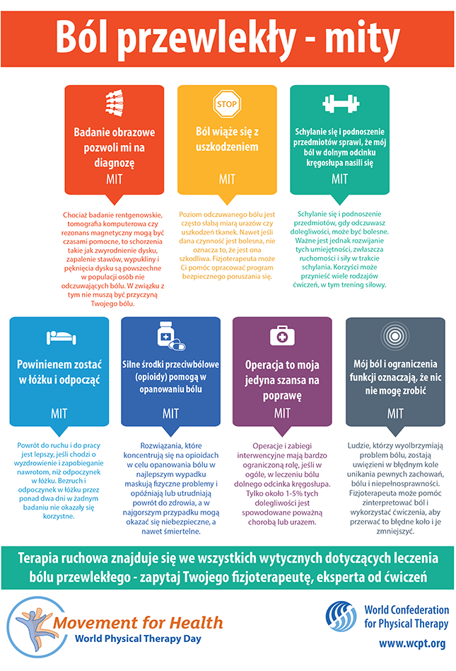 Thumbnail of World PT Day infographic 2 in Polish