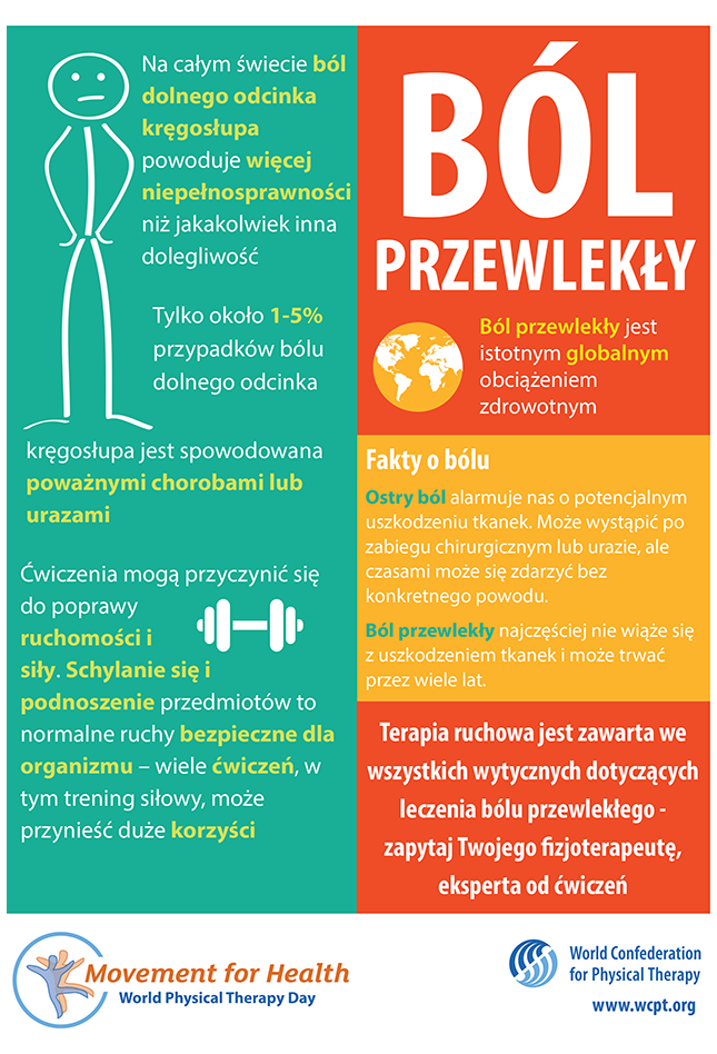 Vorschaubild des World PT Day 2019 Poster 1 in polnischer Sprache