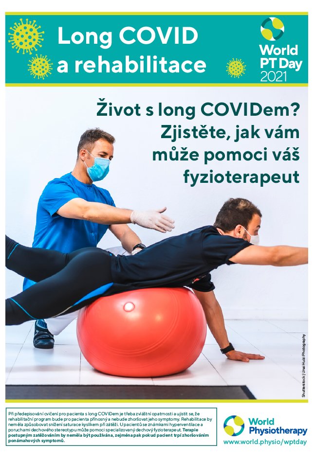 チェコ語での世界PTデー2021ポスター5の画像
