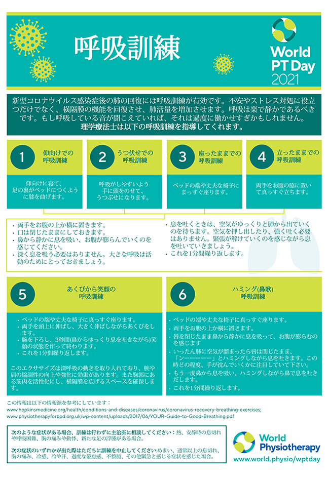 World PT Day information sheet 5. Japanese