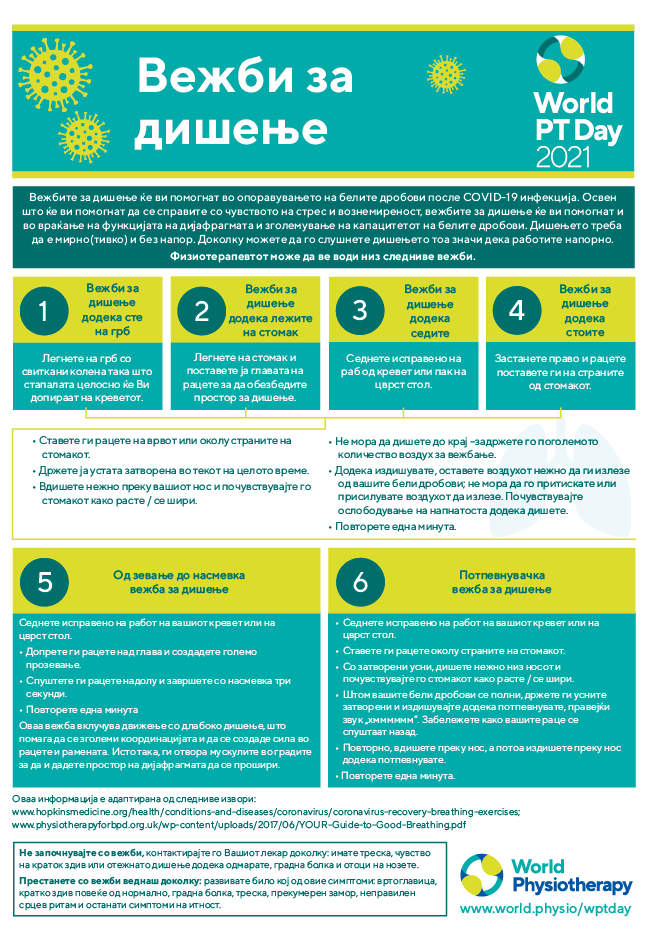 World PT Day information sheet 5. Macedonian