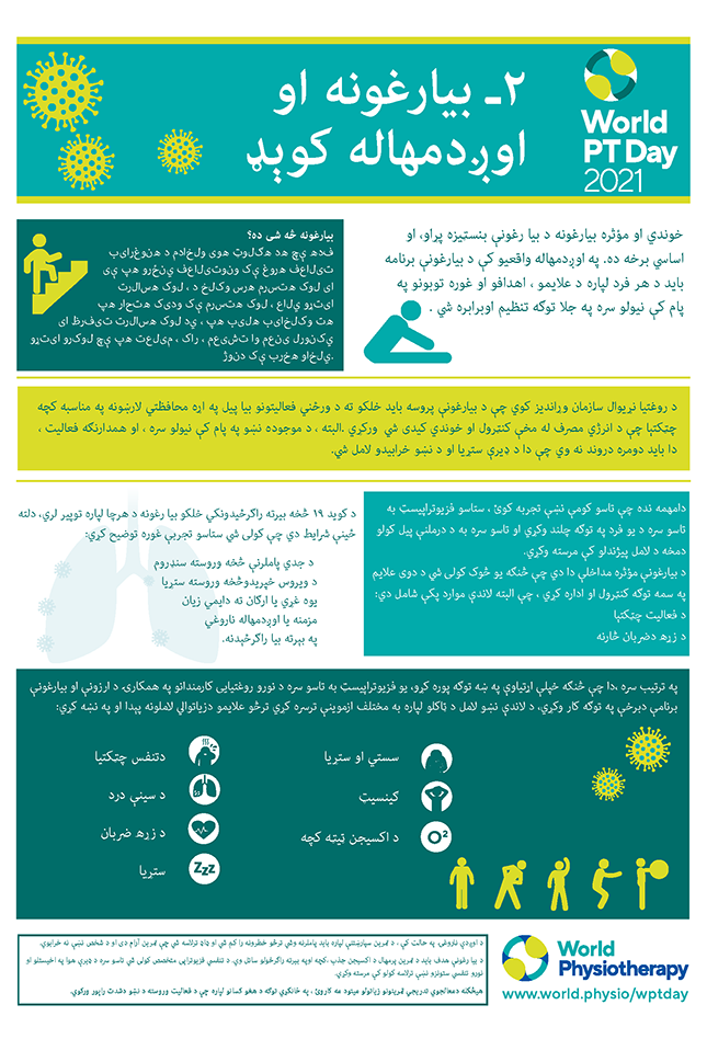 World PT Day information sheet 2. Pashto