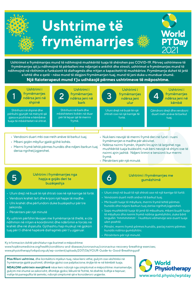 World PT Day information sheet 5. Albanian