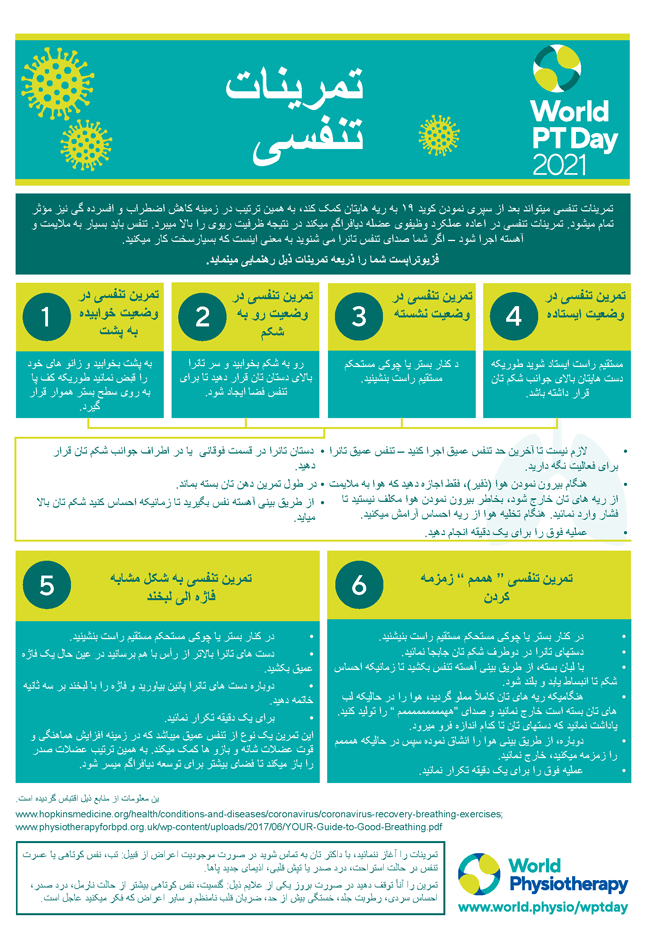 World PT Day information sheet 5. Dari