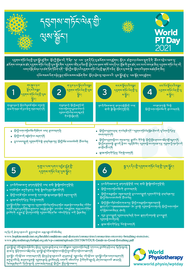World PT Day information sheet 5. Dzongkha