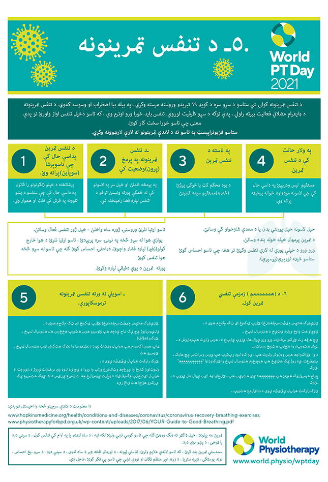 World PT Day information sheet 5. Pashto