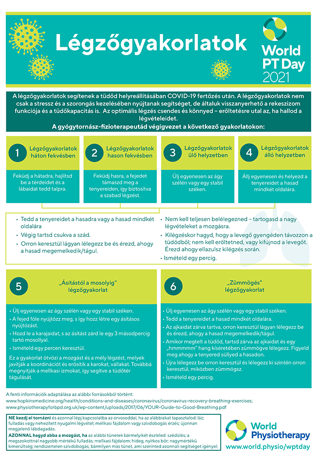 World PT Day information sheet 5. Hungarian