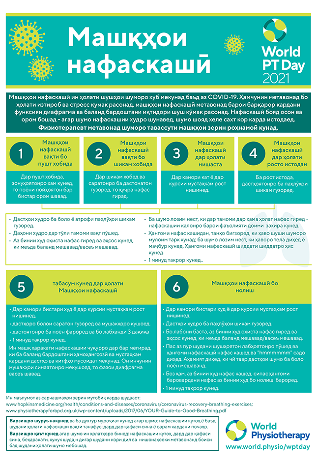 World PT Day information sheet 5. Tajik