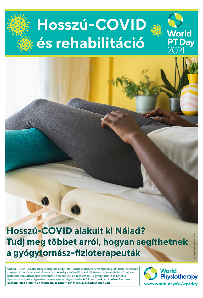 World PT Day poster 4. Hungarian