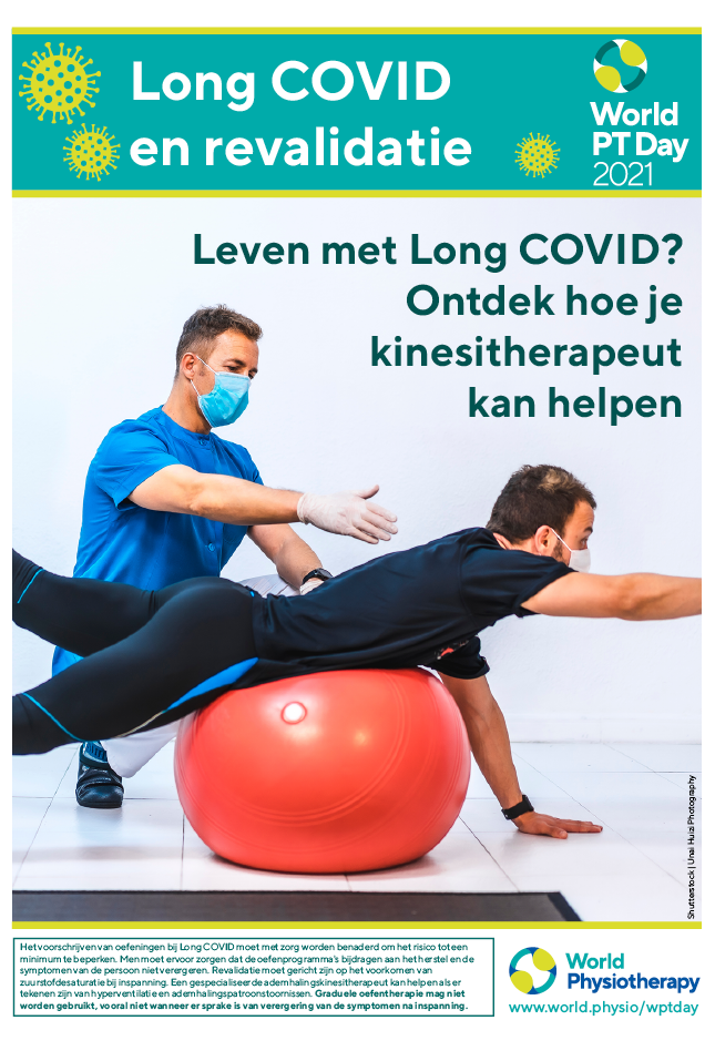 World PT Day poster 5. Dutch (Belgian)