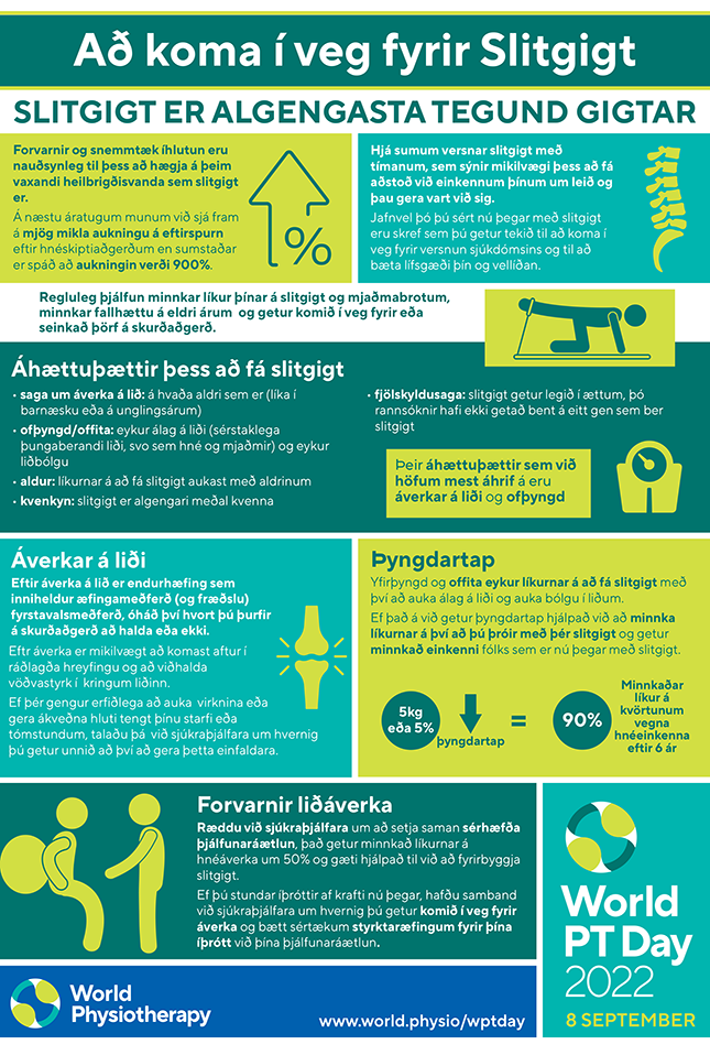 WPTD2022 InfoSheet3 Icelandic thumbnail