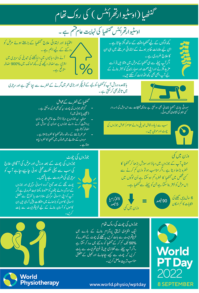 WPTD2022 Foglio informativo3 Miniatura Urdu
