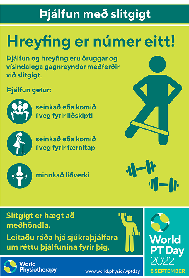 WPTD2022 Poster1 アイスランド語のサムネイル