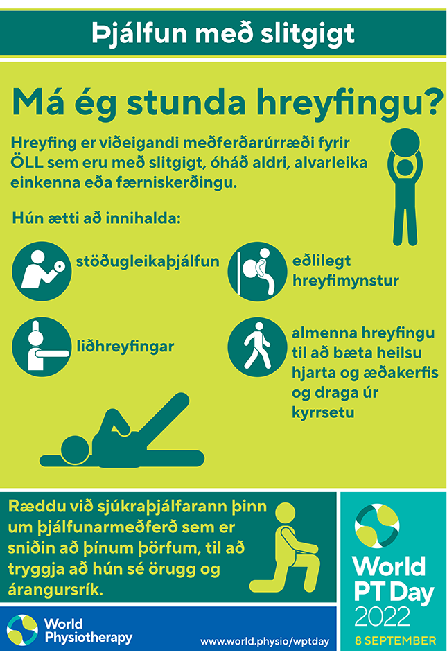 WPTD2022 Poster2 Icelandic thumbnail