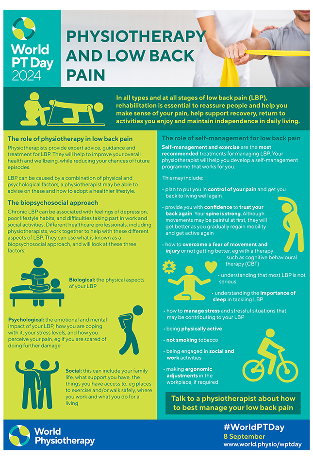 Thumbnail graphic of Information sheet 3 for World PT Day 2024