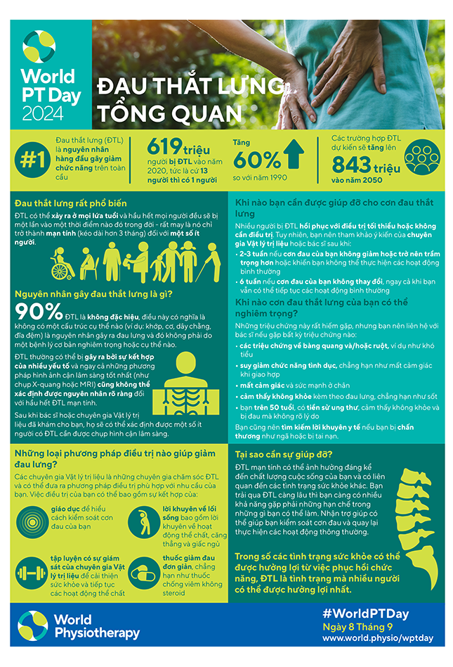 WPTD2024-InfoSheet1-ĐAU THẮT LƯNG: TỔNG QUAN