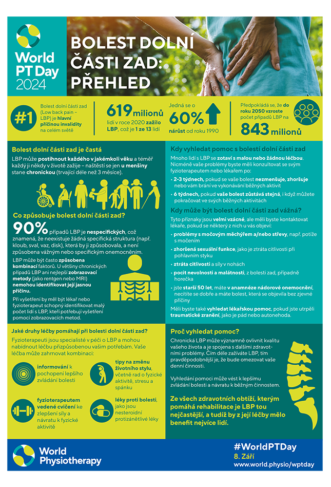 WPTD2024-InfoSheet1-BOLEST DOLNÍ ČÁSTI ZAD: PŘEHLED