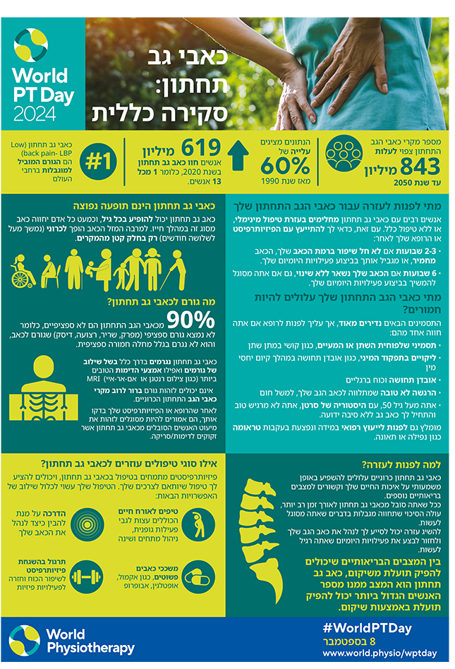 WPTD2024-InfoSheet1-כאבי גב תחתון: סקירה כללית