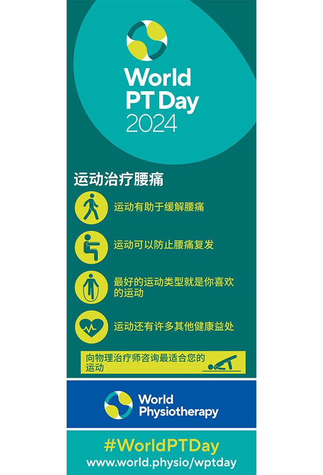 WPTD2024-Rollerbanner2-运动治疗腰痛