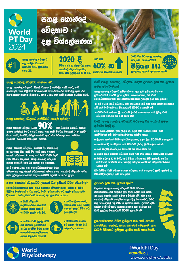 WPTD2024-InfoSheet1-පහළ කොන්දේ වේදනාව : දළ විශ්ලේෂණය