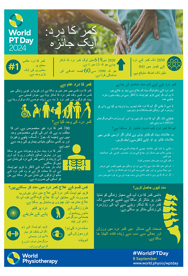 WPTD2024-InfoSheet1-کمر کا درد: ایک جائزہ