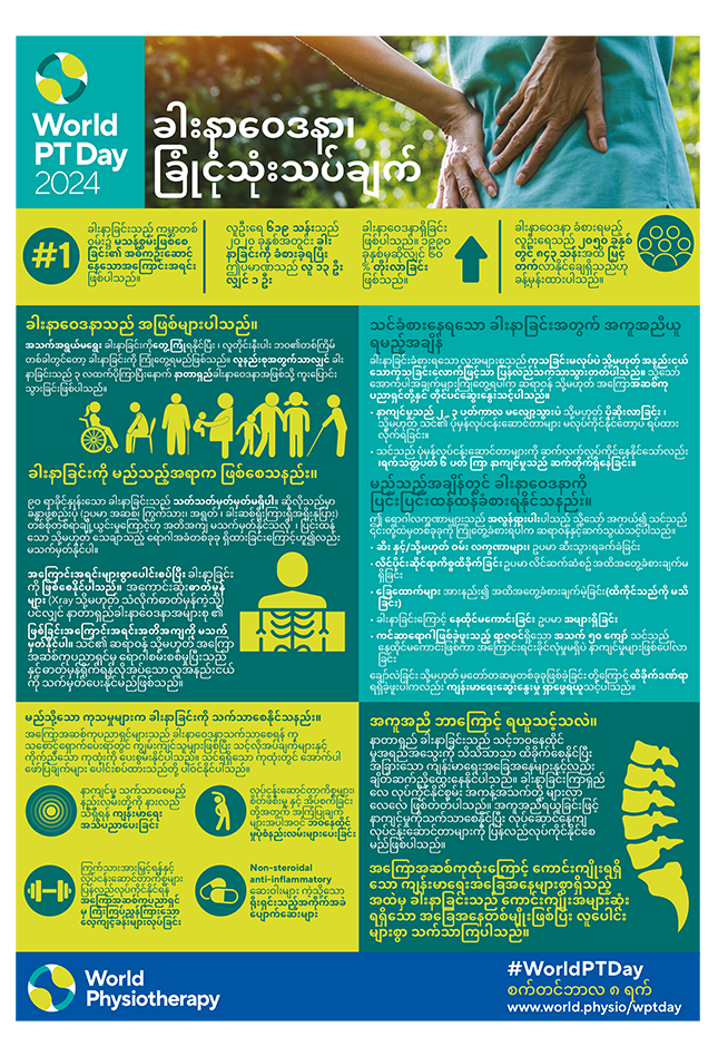 WPTD2024-InfoSheet1-ခါးနာဝေဒနာ၊ ခြုံငုံသုံးသပ်ချက်