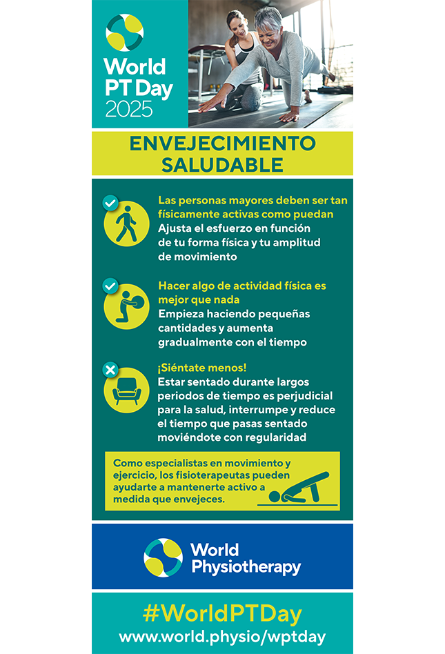 World PT Day 2025 Roller banner 1