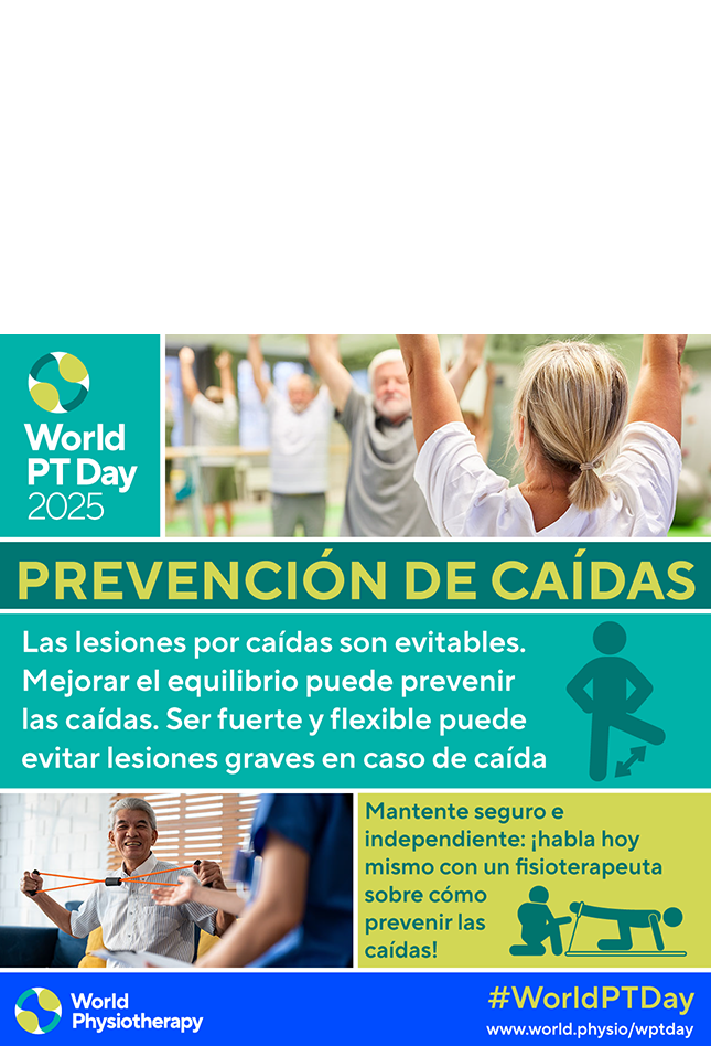 World PT Day 2025 social media file 4