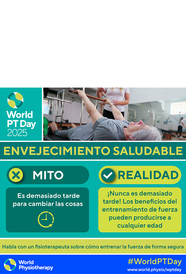 World PT Day 2025 social media file 8