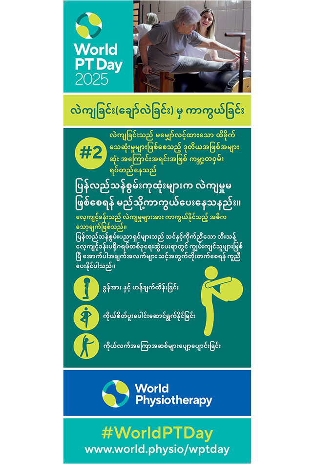 World PT Day 2025 Roller banner 2