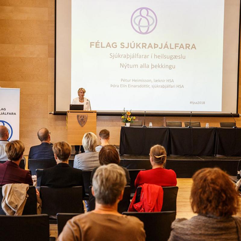 Photograph of World PT Day 2018 celebration in Iceland