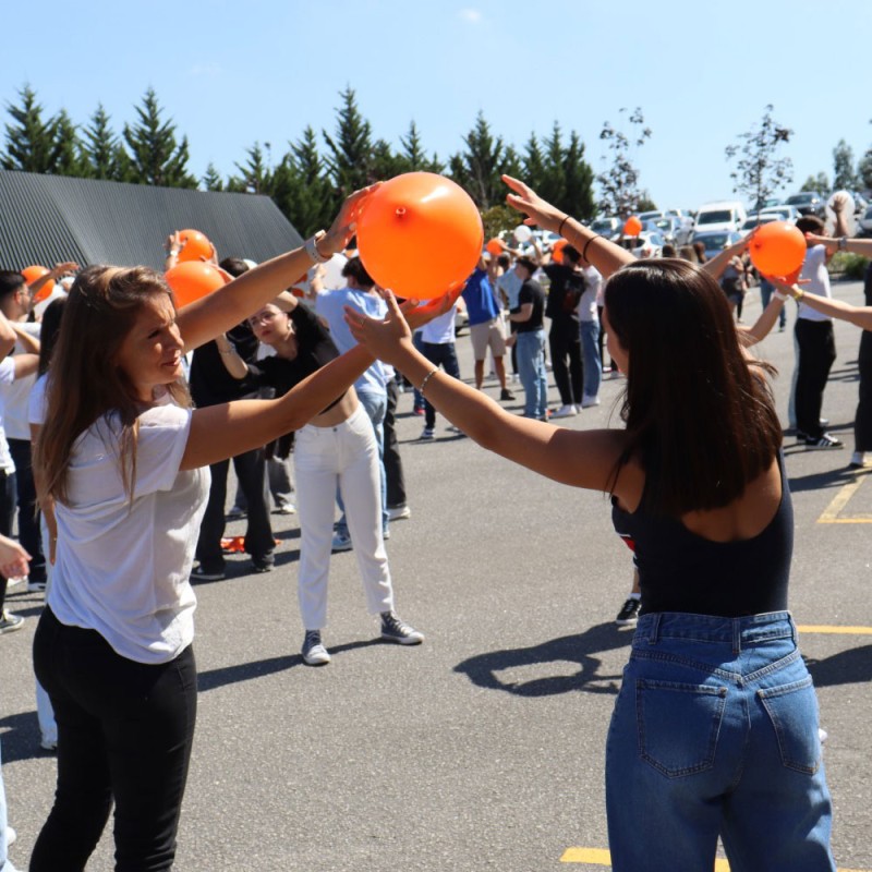 Photo of World PT Day celebrations in Portugal