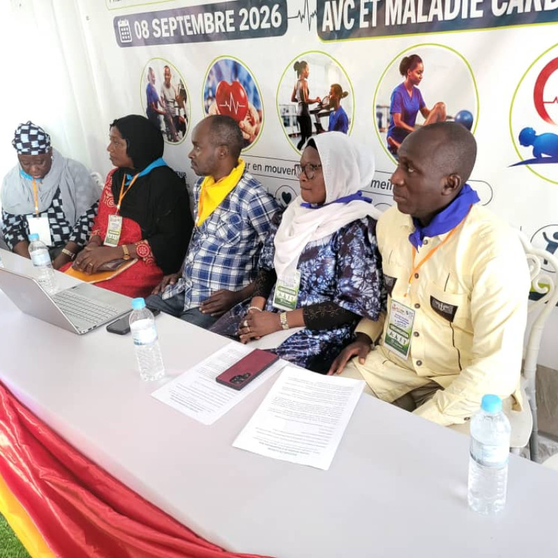 Photo showing activities held to mark World PT Day 2026 in Guinea