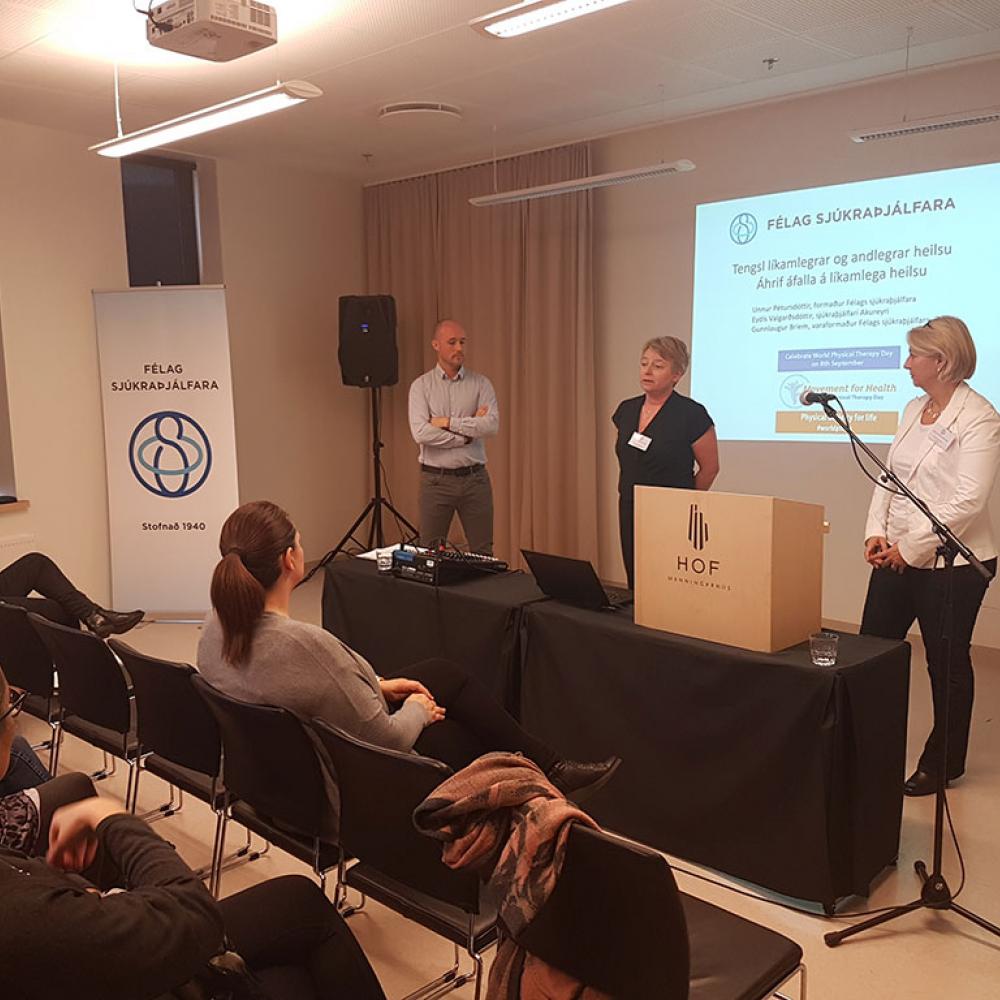 Photograph of World PT Day 2018 celebration in Iceland