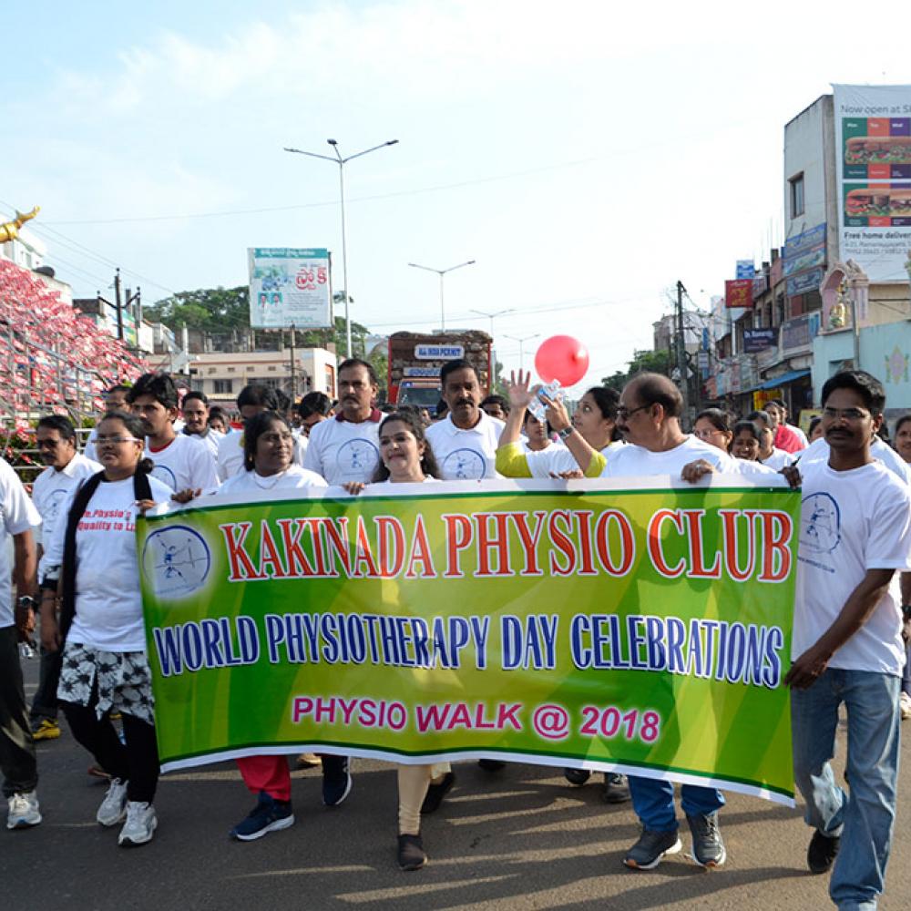 Photograph of World PT Day 2018 celebration in India