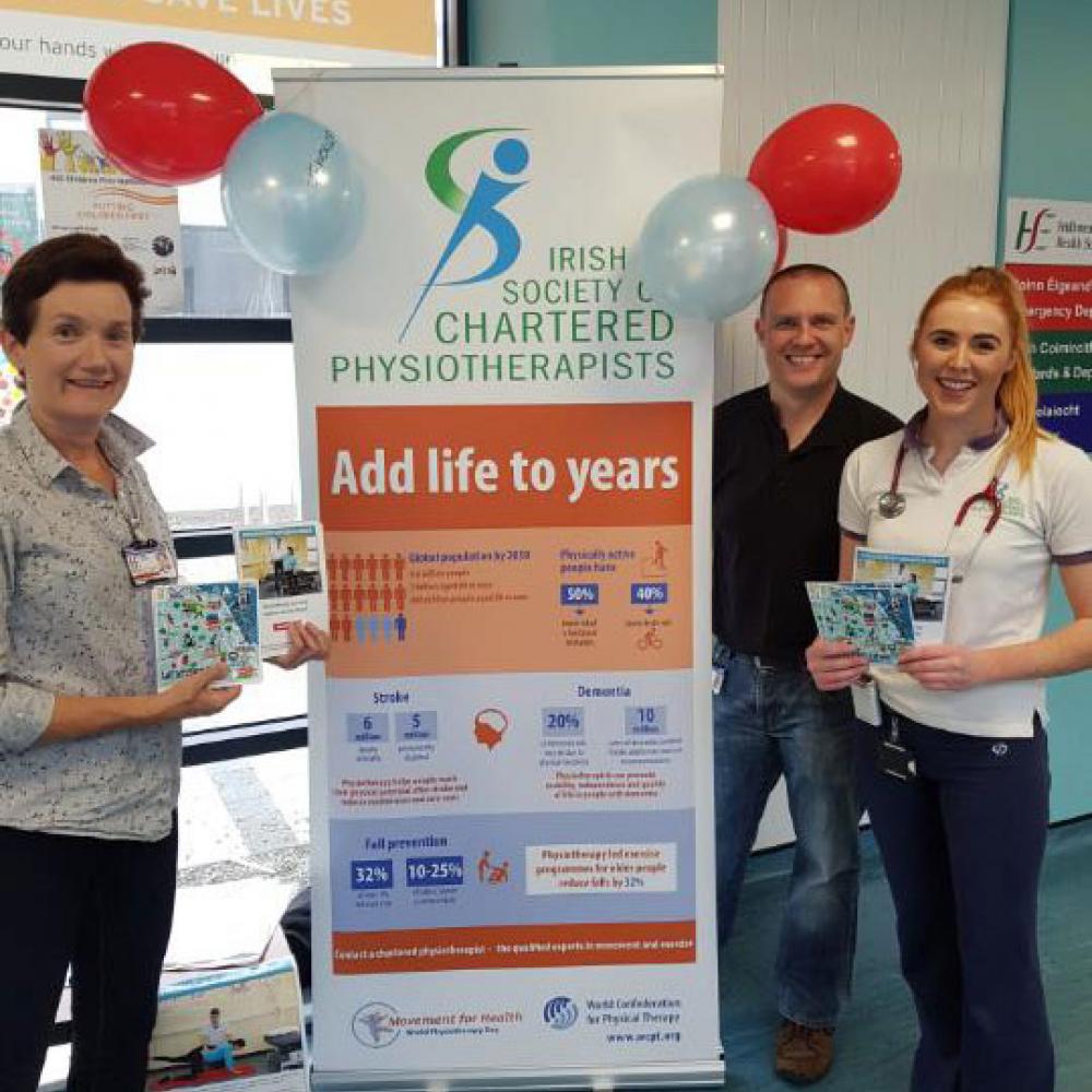 Photograph of World PT Day 2018 celebration in Ireland