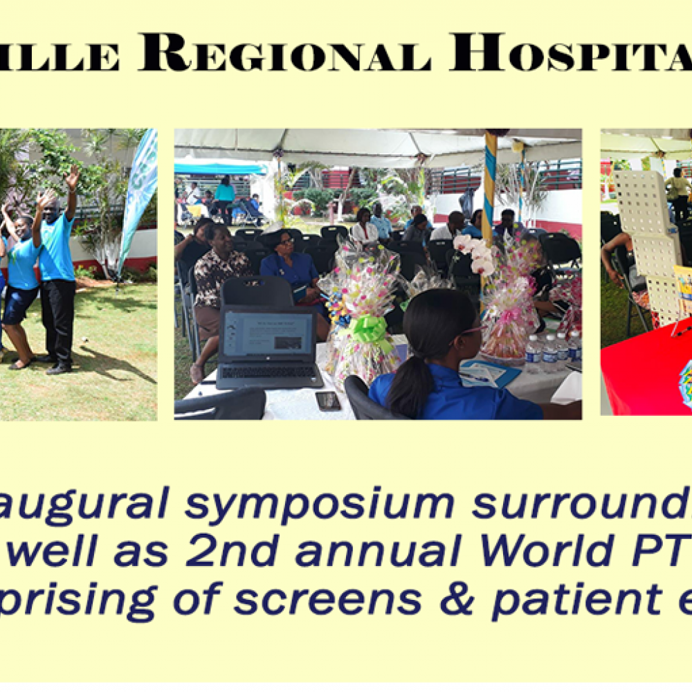 Photograph of World PT Day 2018 celebration in Jamaica