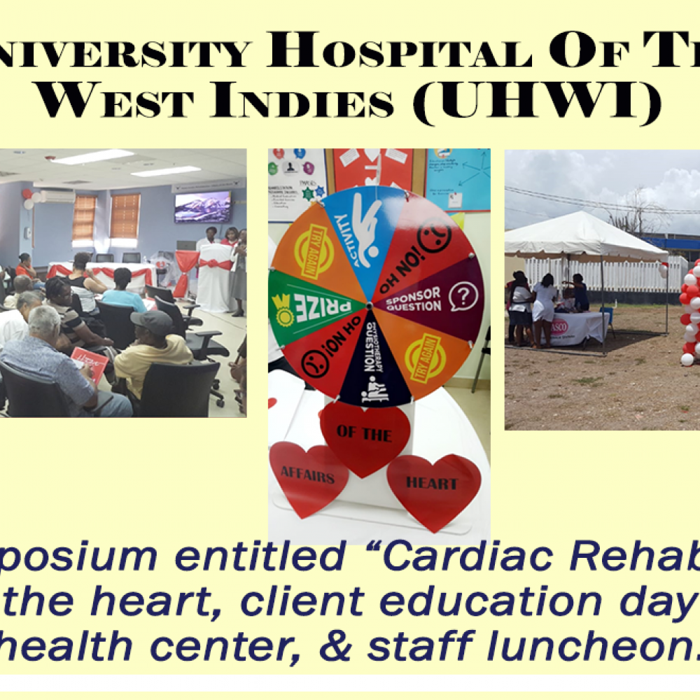 Photograph of World PT Day 2018 celebration in Jamaica