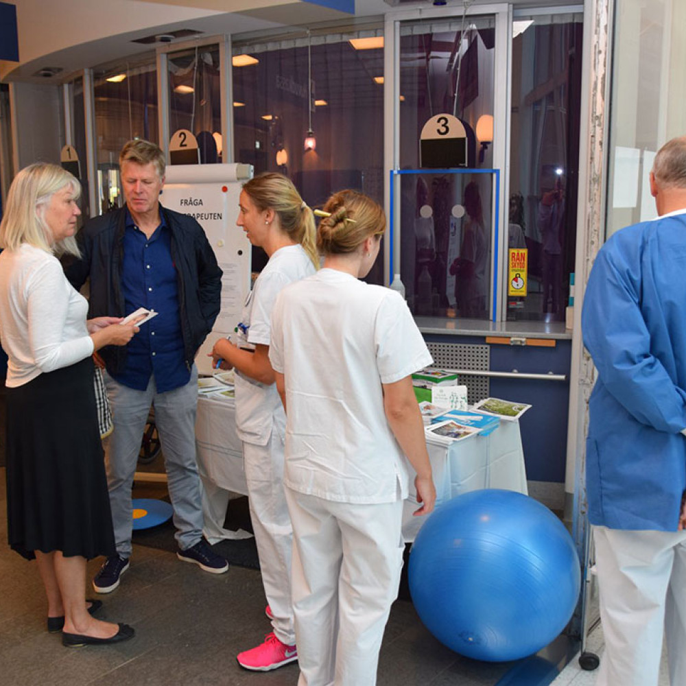 Photograph showing a celebration held in Sweden to mark World PT Day 2018