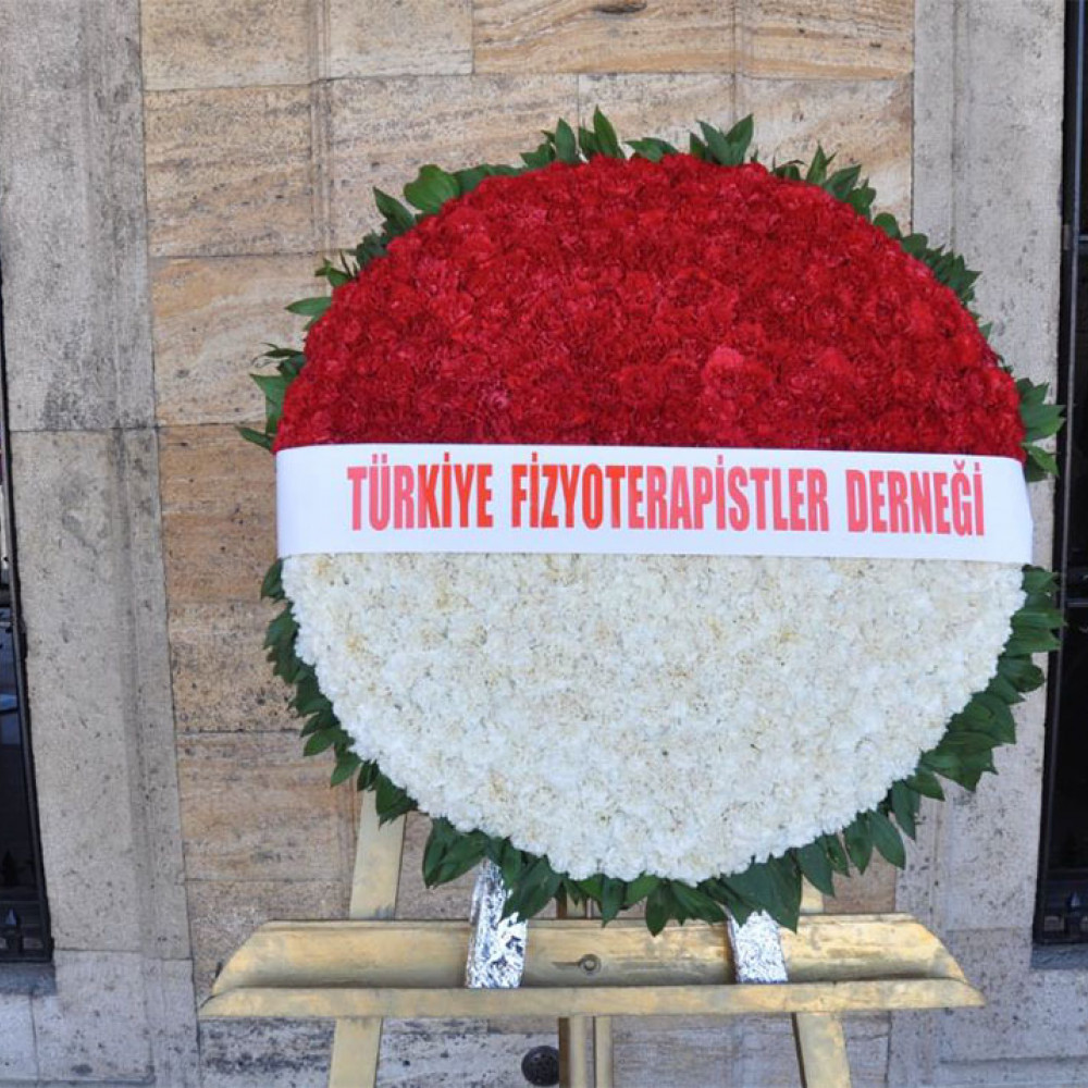 Photograph showing a celebration held in Turkey to mark World PT Day 2018