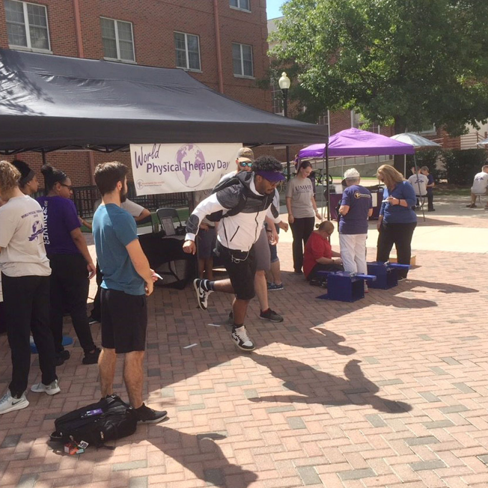 Photograph showing a celebration held in the United States to mark World PT Day 2018