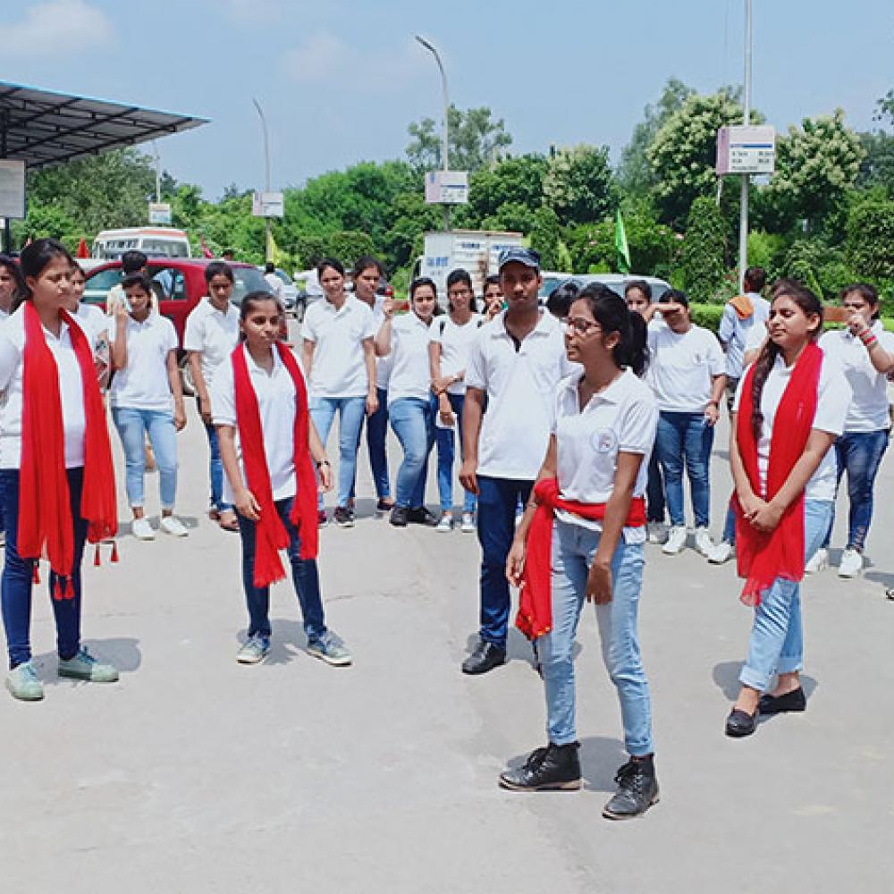 Photograph showing a celebration held in India to mark World PT Day 2019