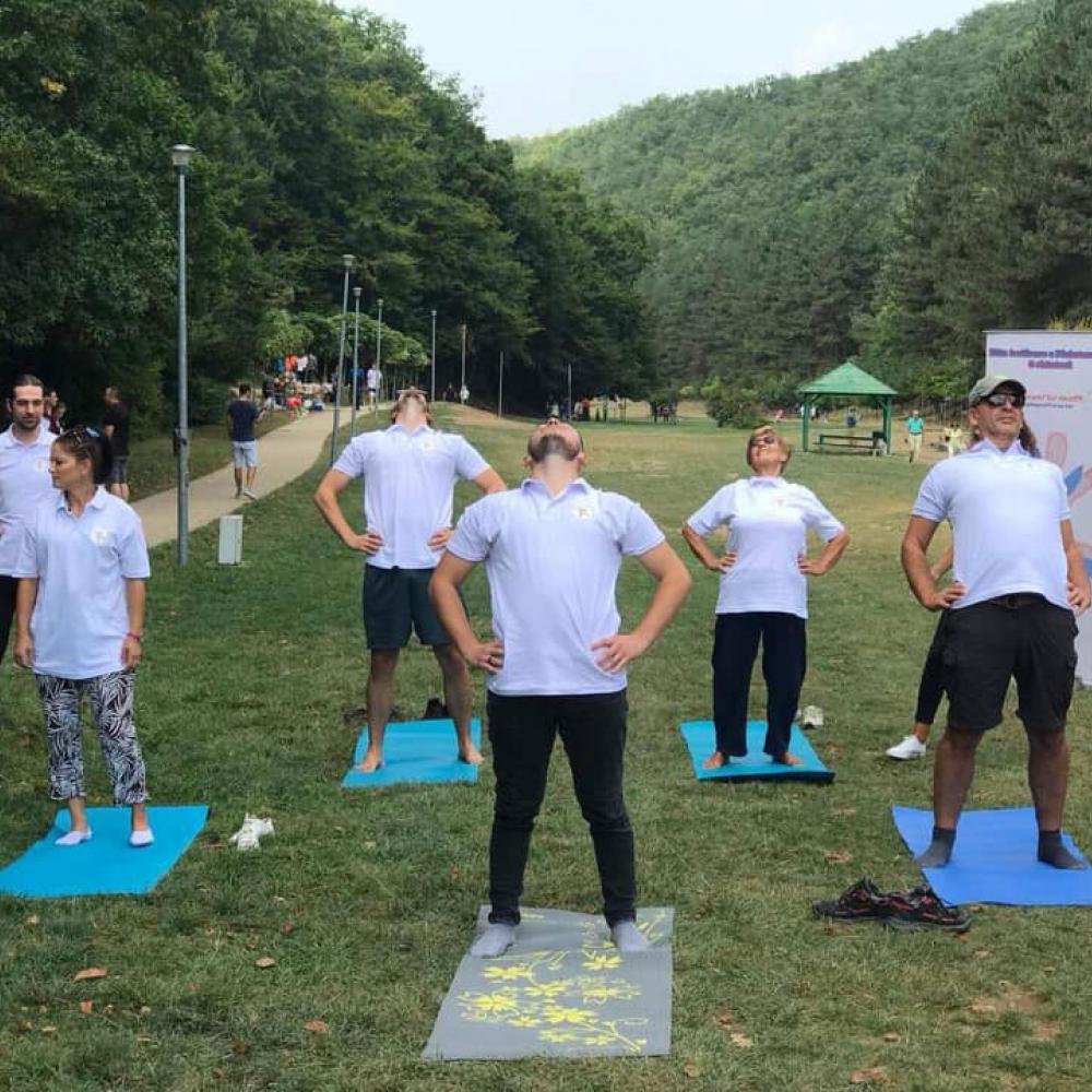 Photograph showing a celebration held in Kosovo to mark World PT Day 2019