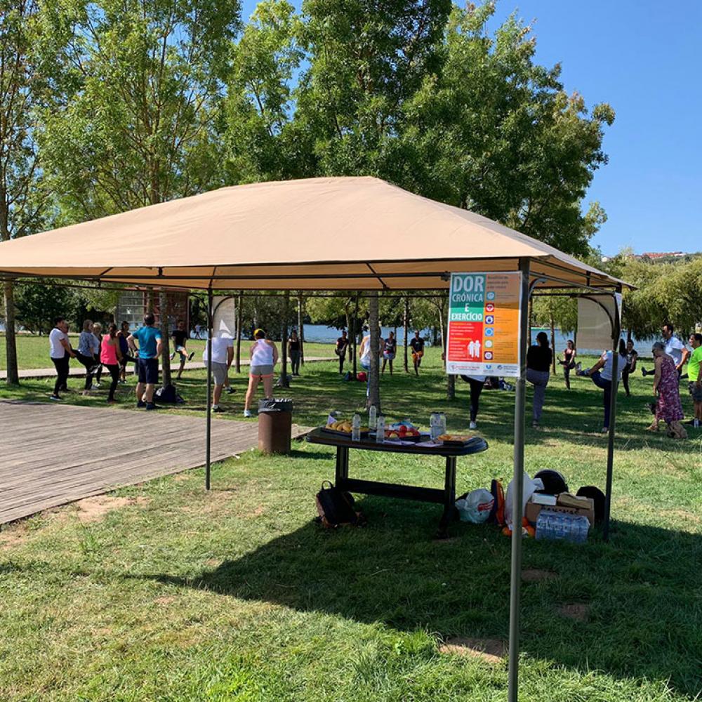 Photograph showing a celebration held in Portugal to mark World PT Day 2019