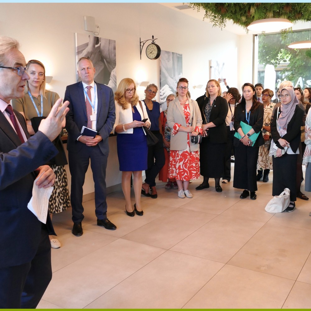 Participants at WHPA side event at WHA77
